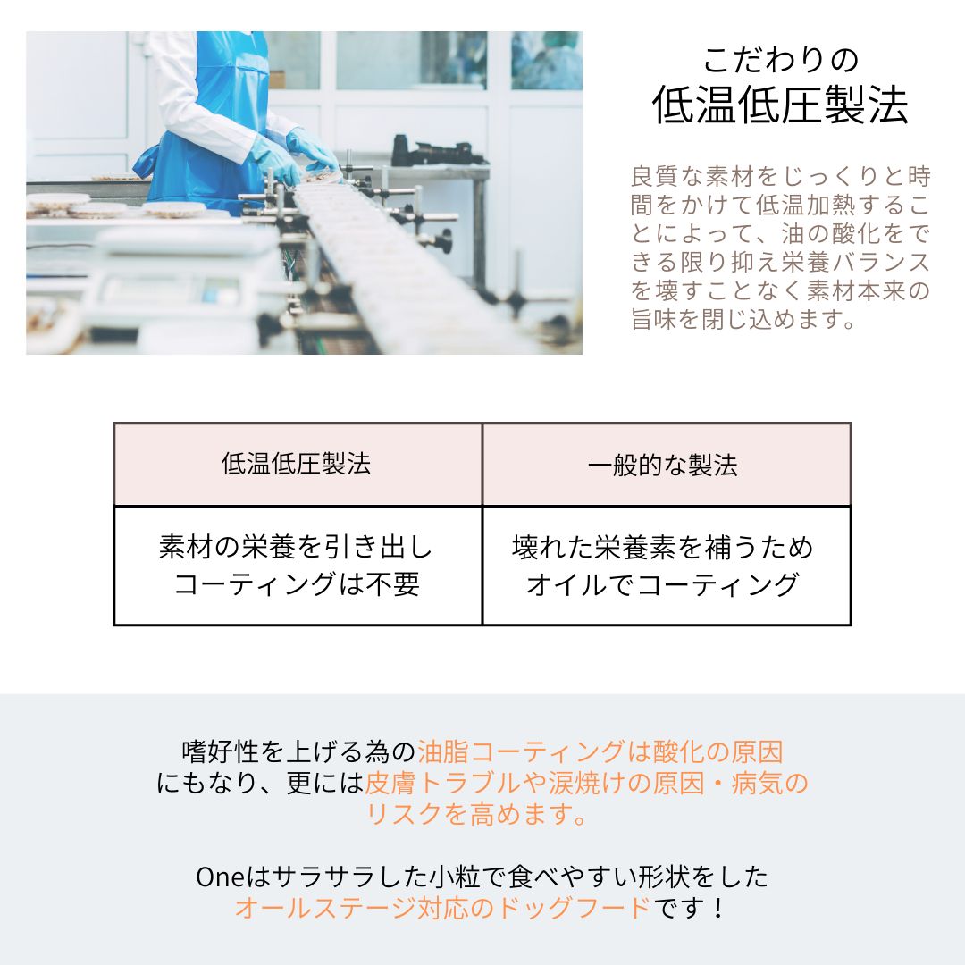 腸活