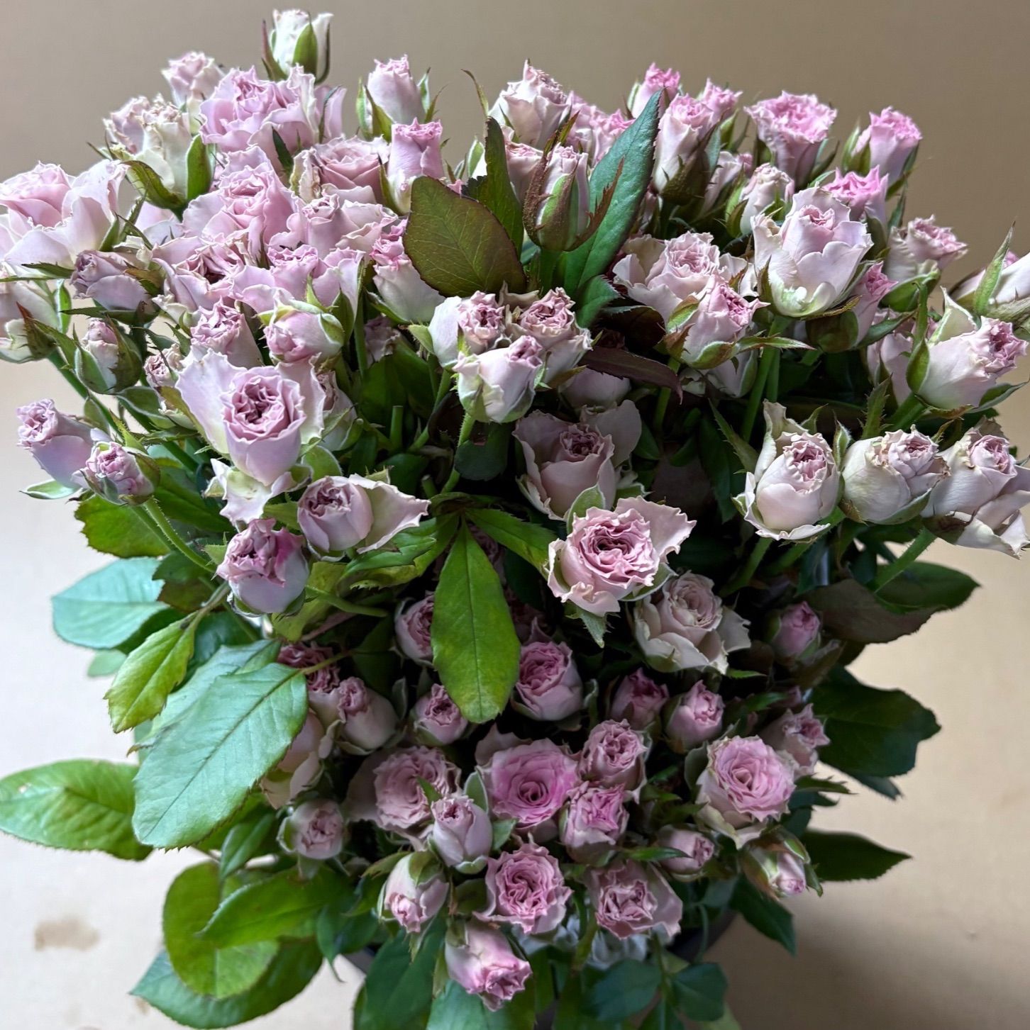 希少✨ルイ・ヴィトン コインケース ポルトモネラパンアニマル うさぎ