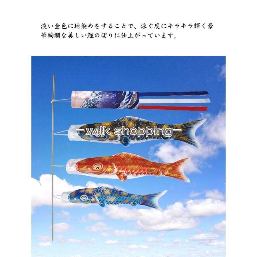 緋鯉 子鯉