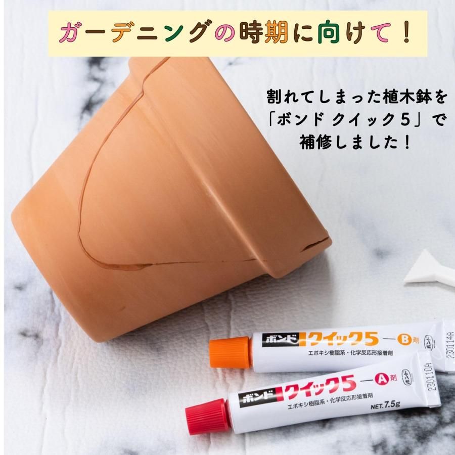 クイック5 80gセット
