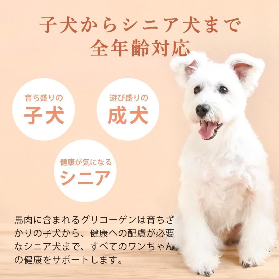 国産 馬肉 ドッグフード ギフトナー 馬肉レシピ 900g×3 小粒 GIFTNER 無添加 全年齢対応 小型犬 シニア パピー 成犬 体重管理 STEELWINDOWSANDDOORS_COM