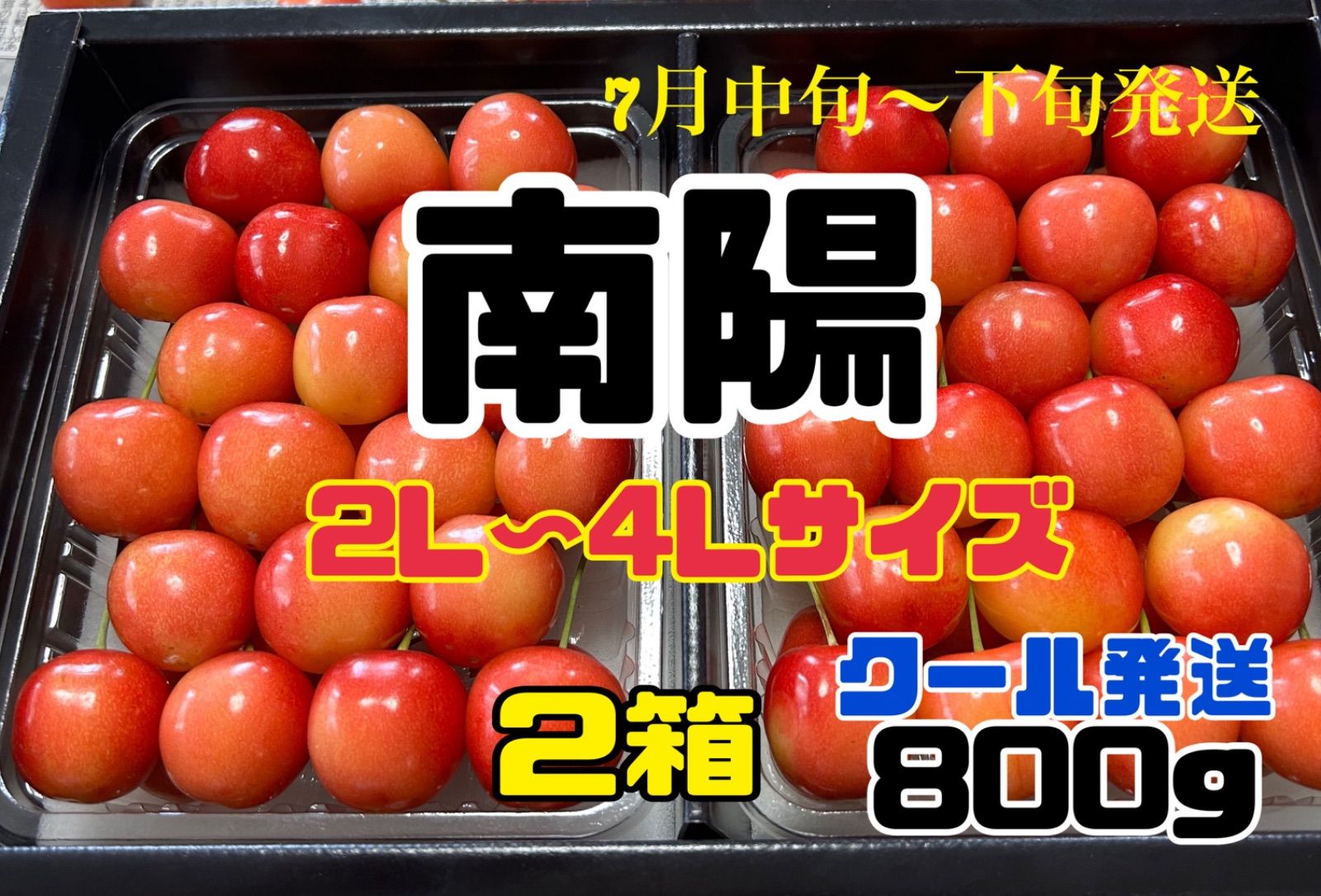 2 予約販売北海道産さくらんぼ南陽800g 2箱  7月中旬発送予定