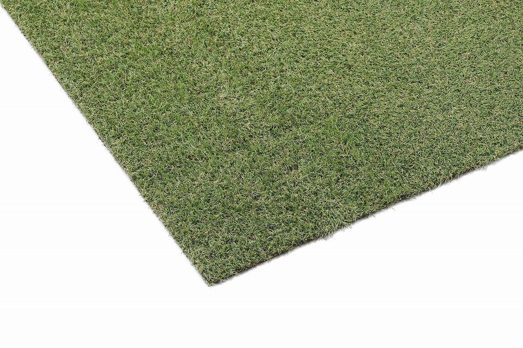 アイリスオーヤマ 防草シート 人工芝タイプ 幅1m×10m BP-30110 IRIS OHYAMA