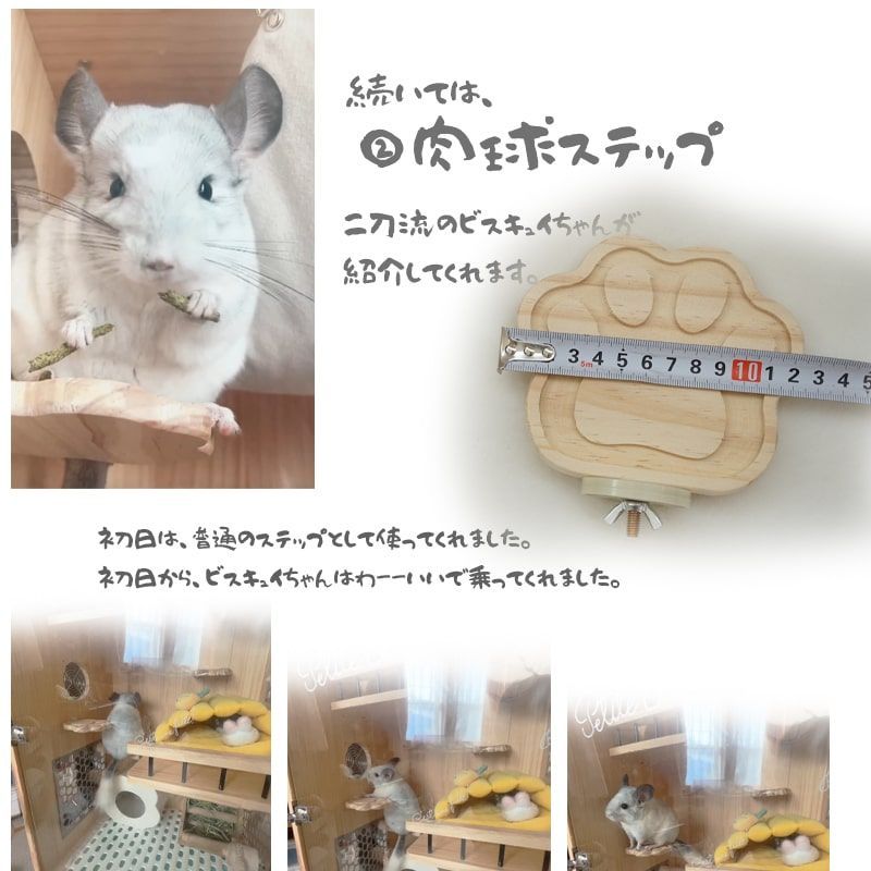木製 ステップ デグー 木製 ステップ チンチラ かじり木