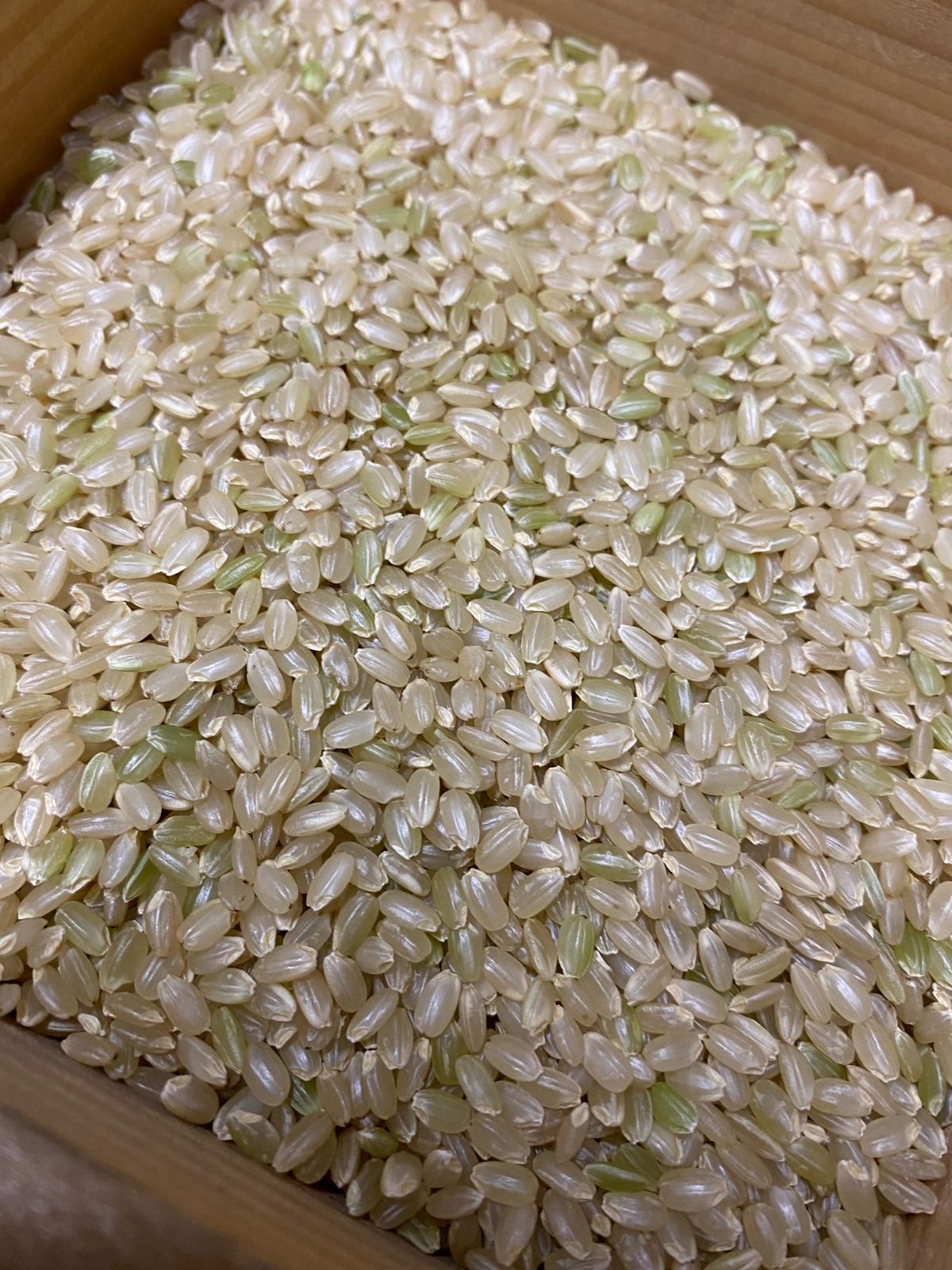 化学肥料不使用