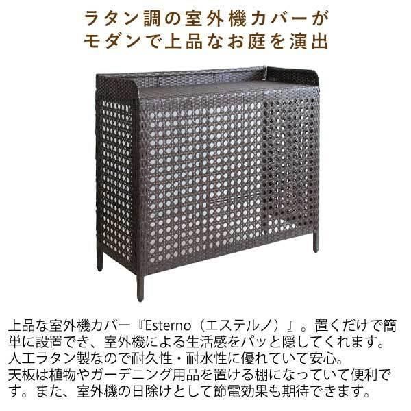 人気 売れ筋