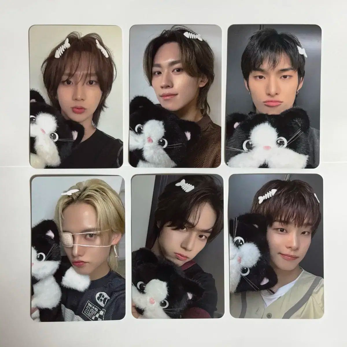 82major エトゥメ ハローライブ 猫 未公開トレカ