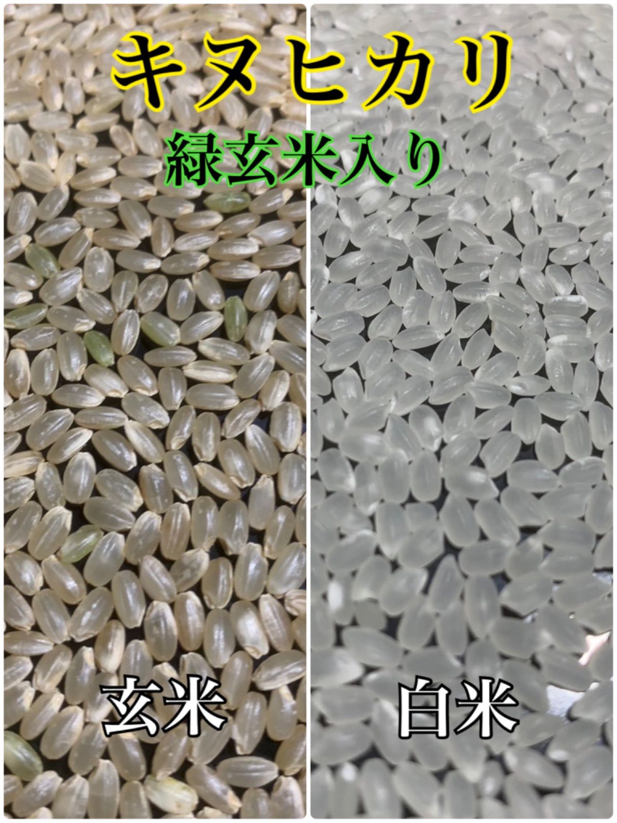 キヌヒカリ（玄米）30キロ 兵庫県産