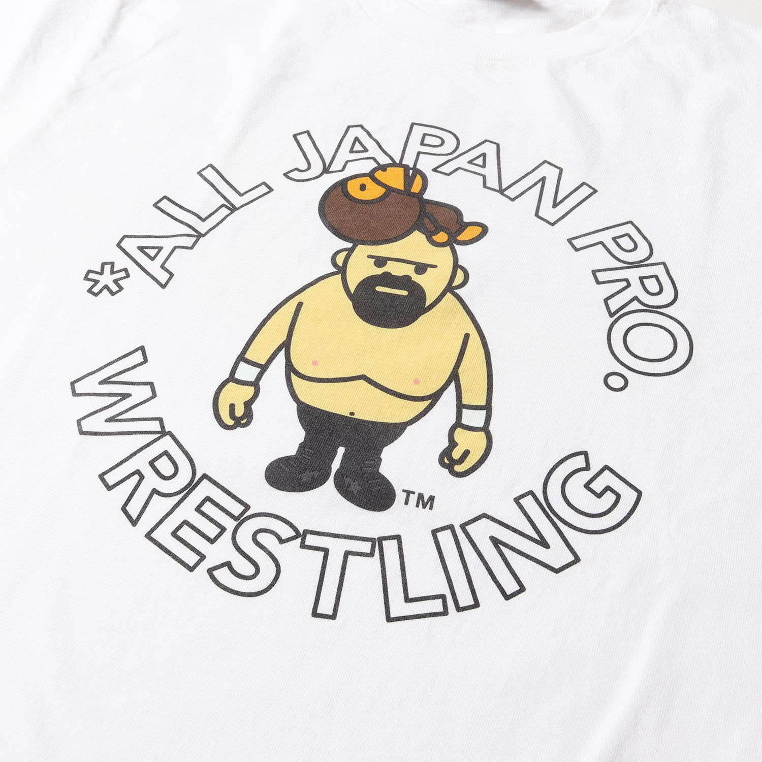 アベイシングエイプ A BATHING APE ×全日本プロレス フィギュア 新日本