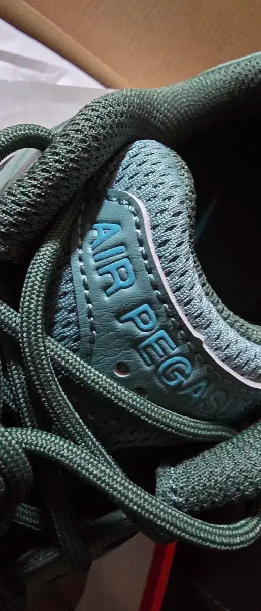 NIKE ナイキ ペガサス ― 280