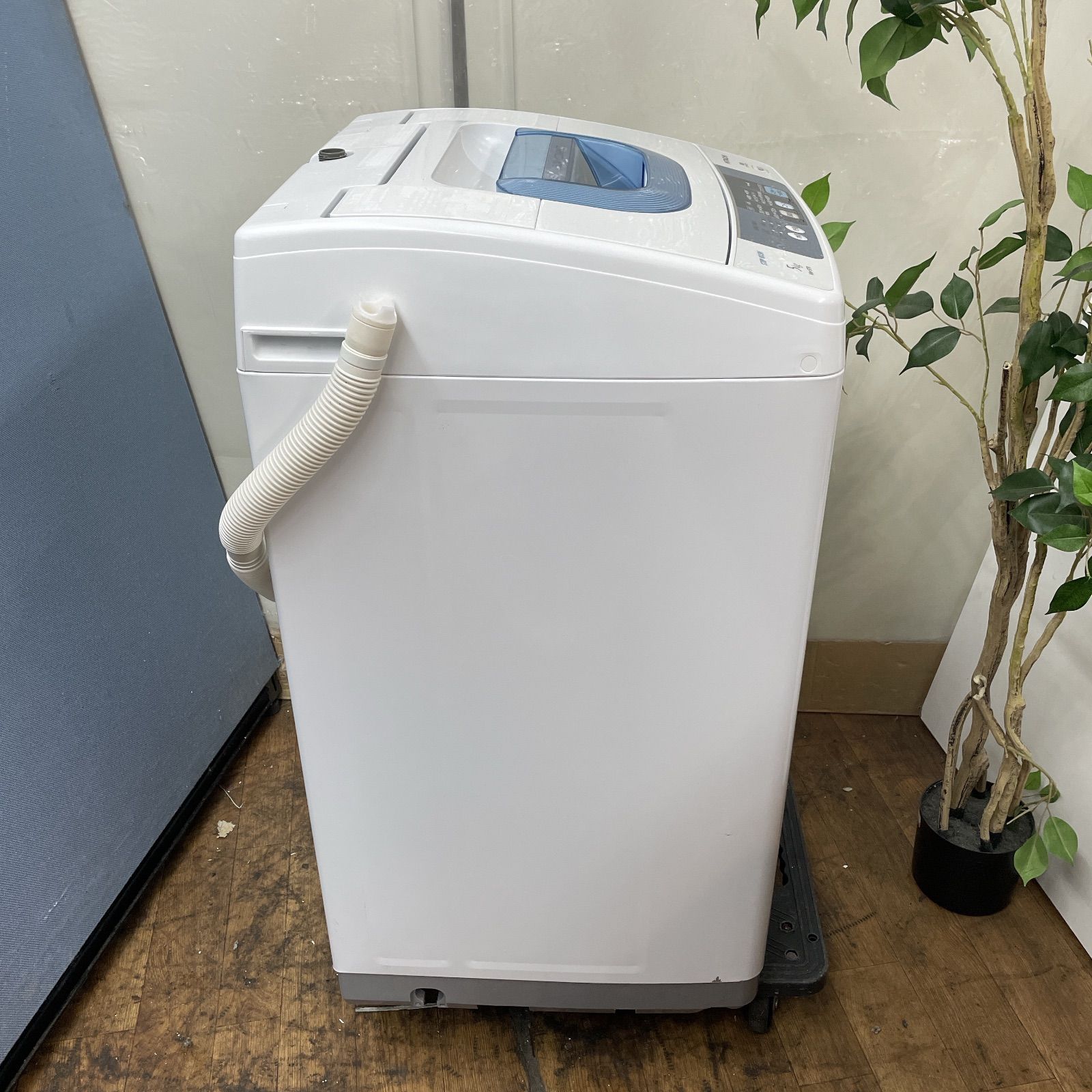 済 クリーニング済