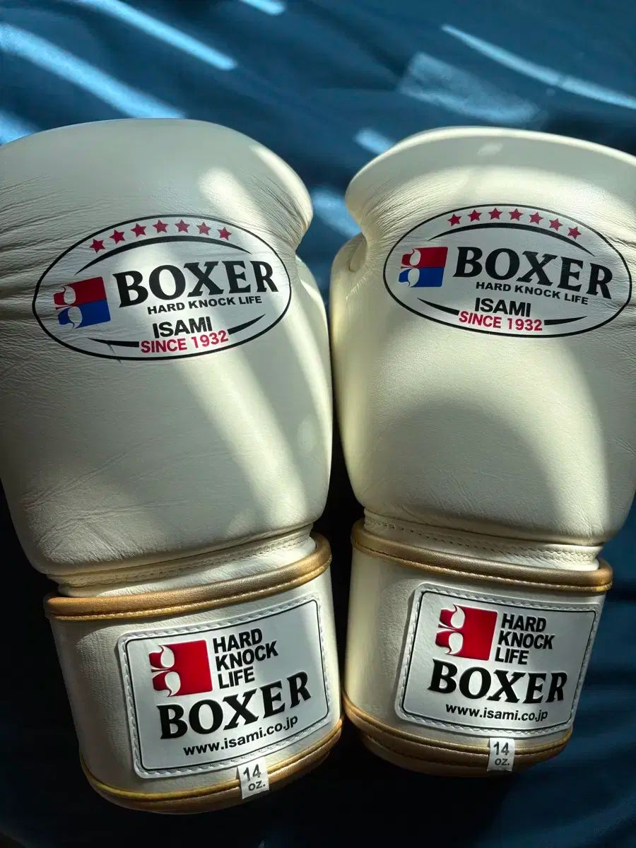 イサミ ISAMI ボクシング グローブ 14oz