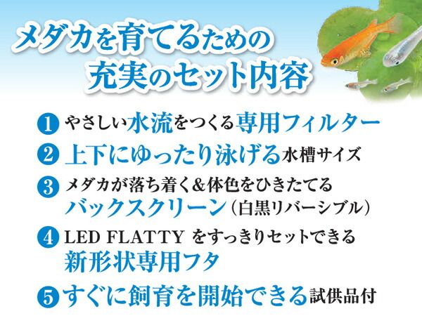 GEX メダカ元気 メダカのための水槽セット300 熱帯魚 観賞魚用品 水槽 セット水槽 ジェックス