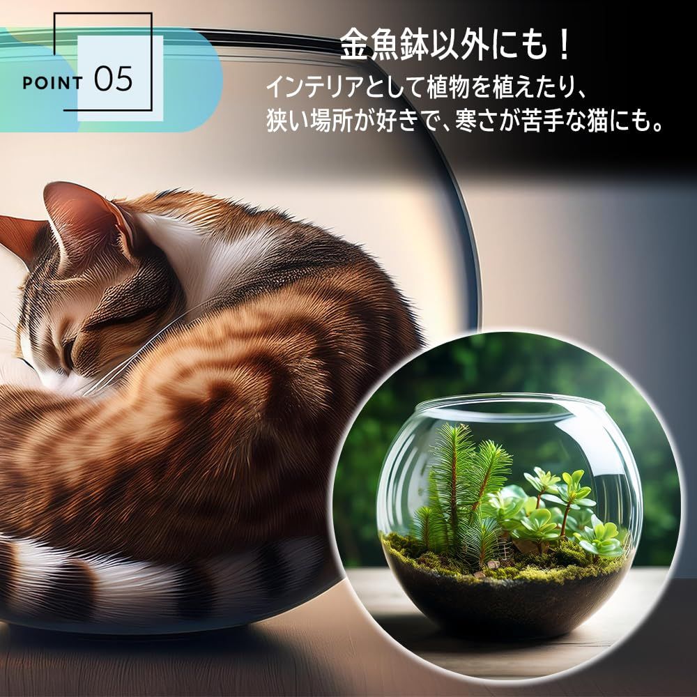 ヤドカリハウス アクリル水槽 000000006354_YI3aS8h.jpg