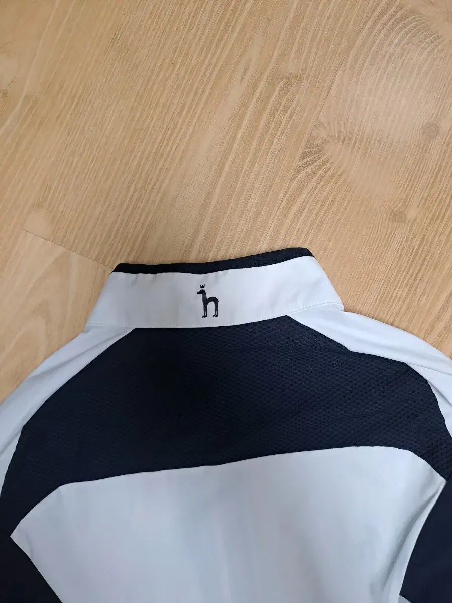 HAZZYS