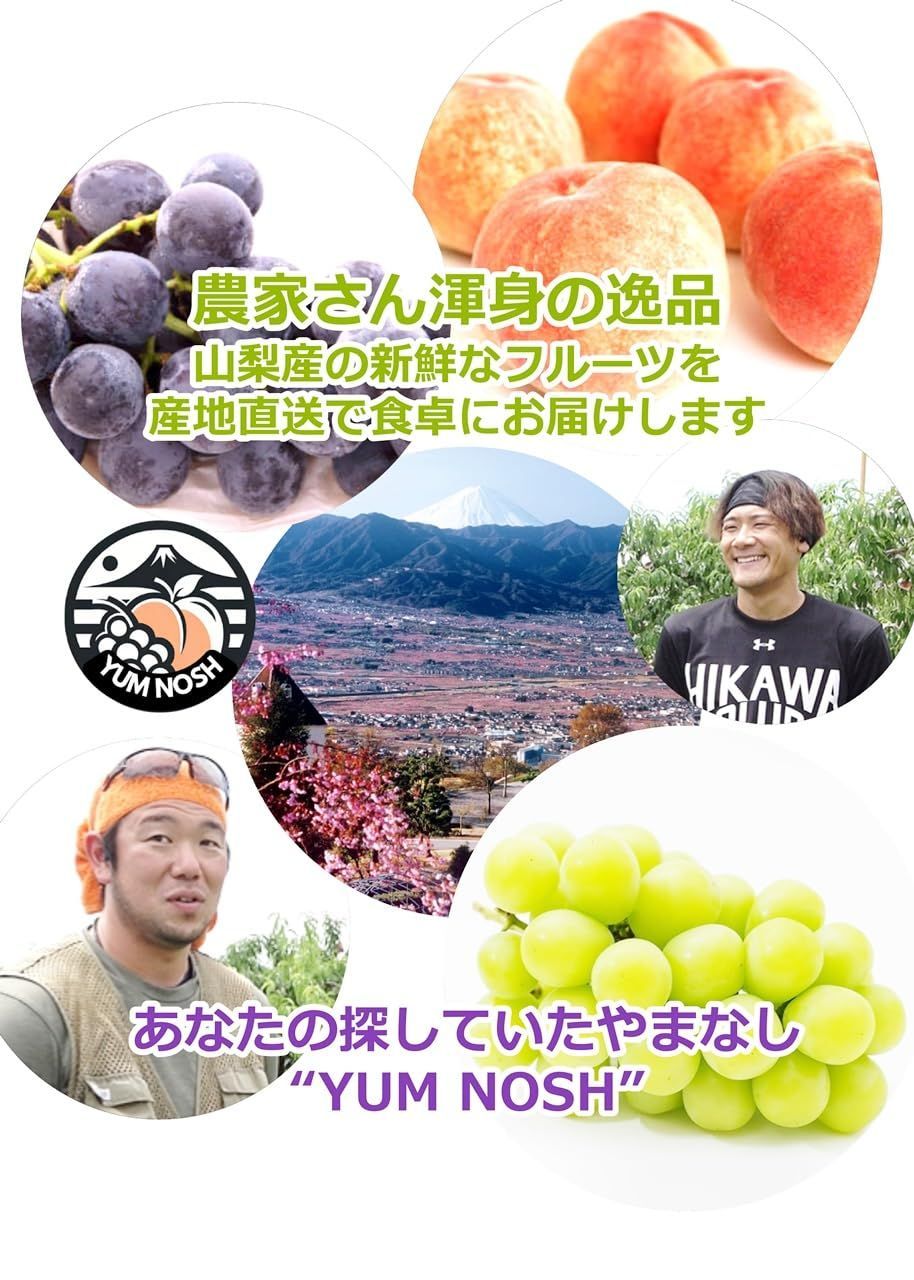 山梨県産 シャインマスカット YUM NOSH 1.5kg 2〜3房入り