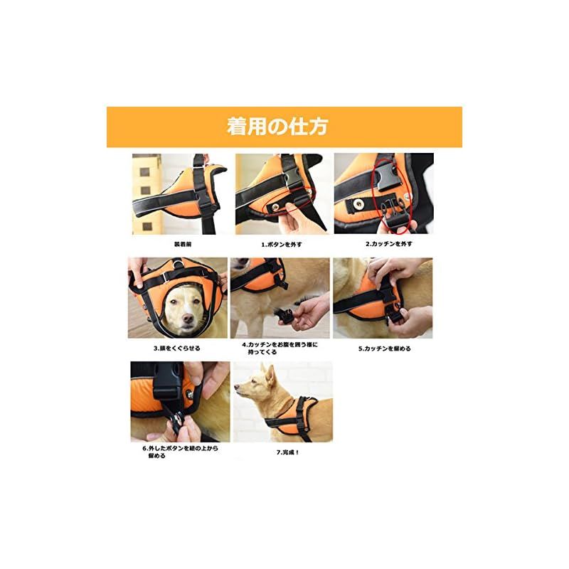 大型犬用ハーネス