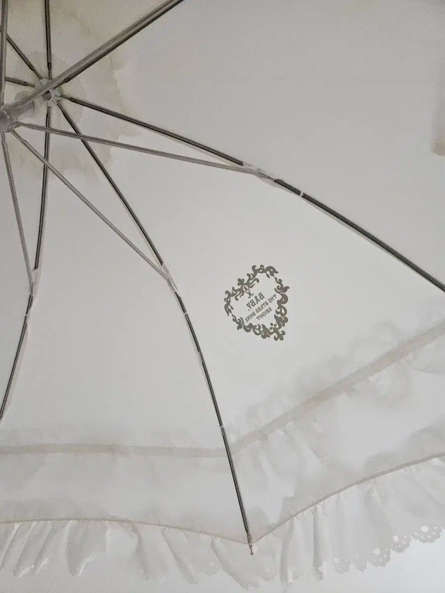 ザ スターシャイン