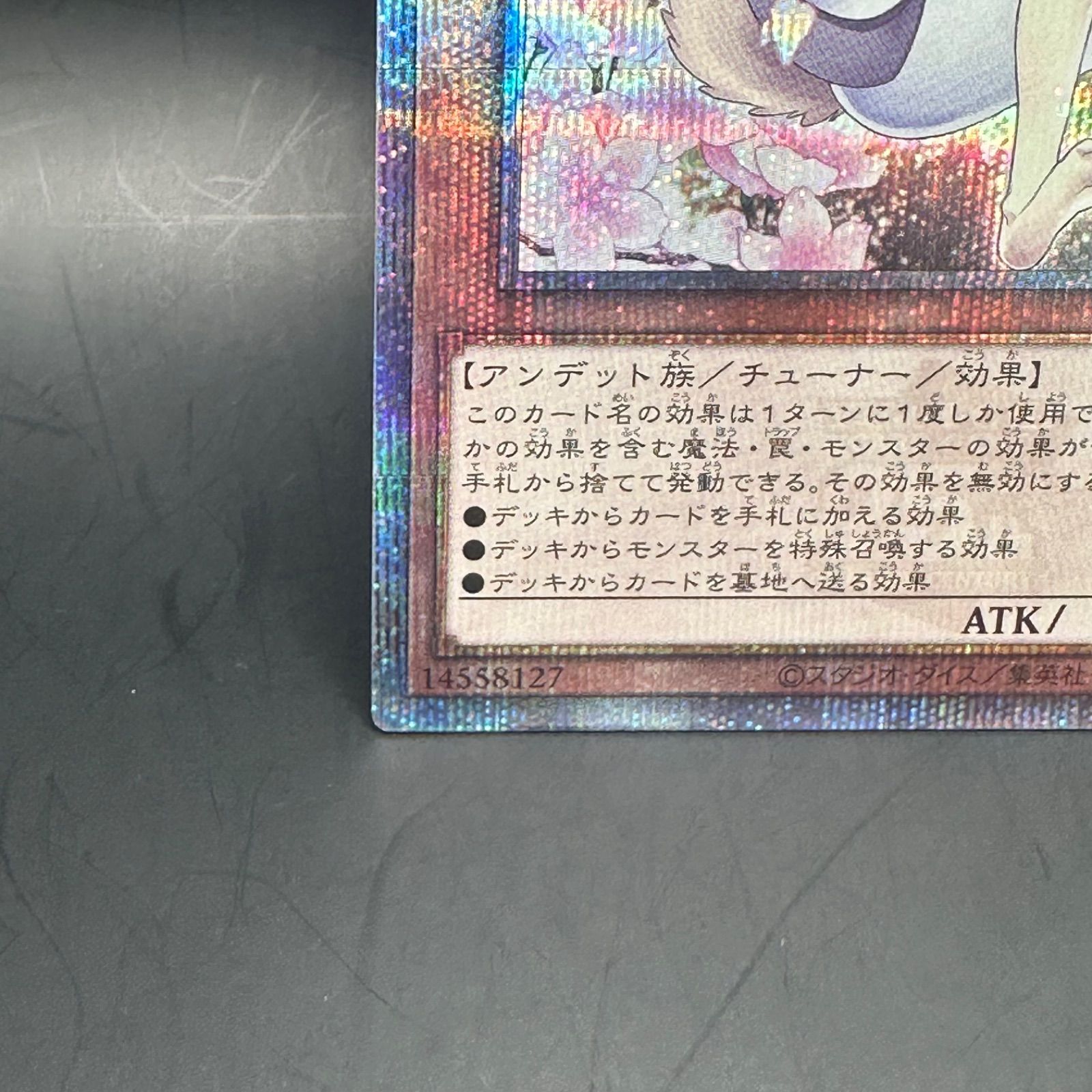 遊戯王 灰流うらら 新規イラスト クォーターセンチュリーシークレットレア