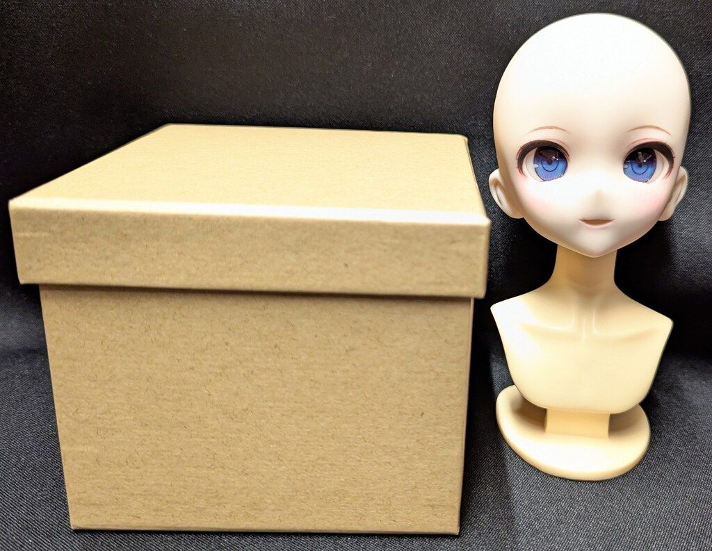 たすく DDカスタムヘッド DDH-10 セミホワイト肌