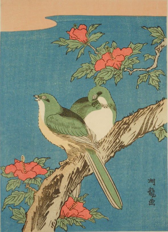 磯田瑚龍斎 小鳥とふうそうげ - メルカリ 