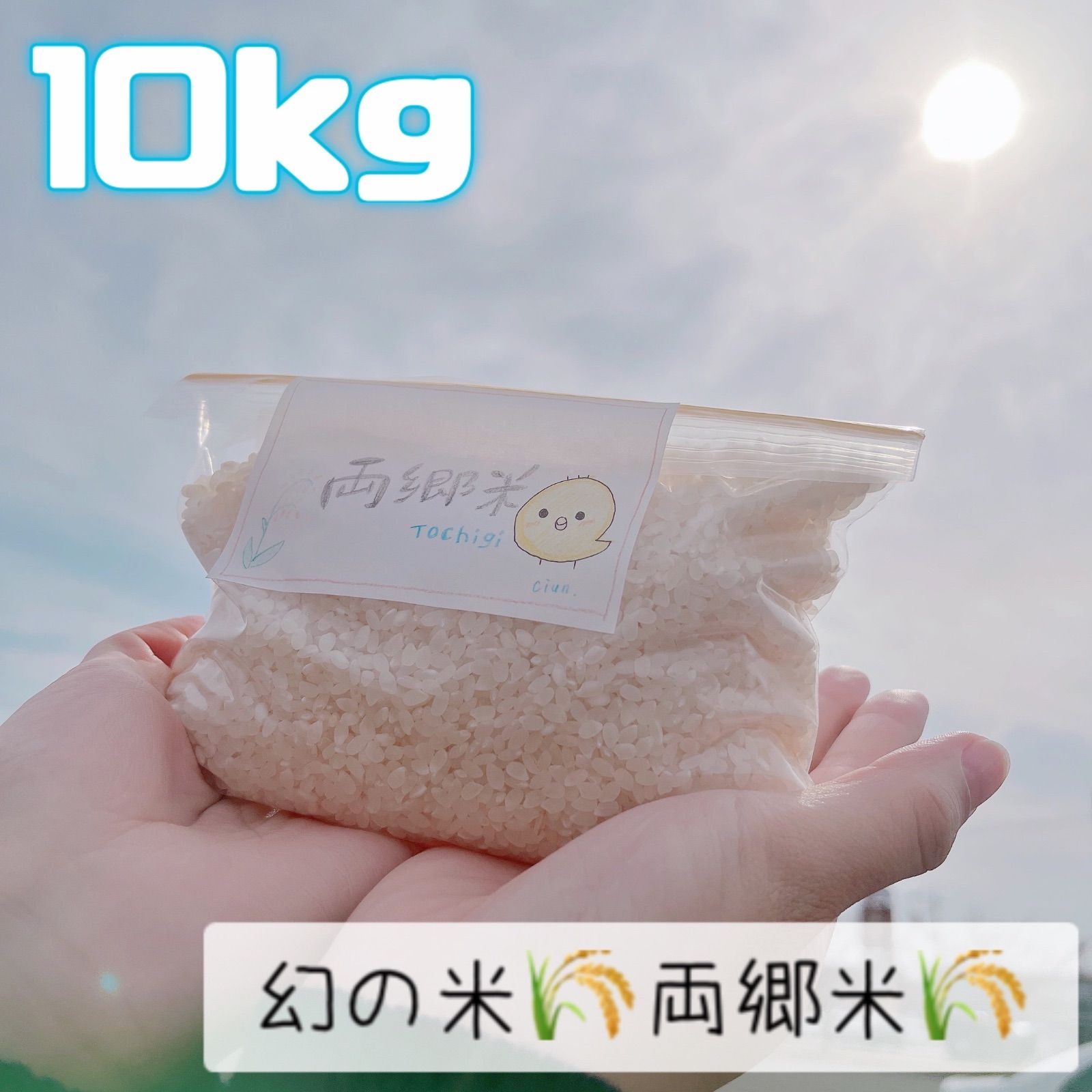 両郷米 幻のお米 10kg