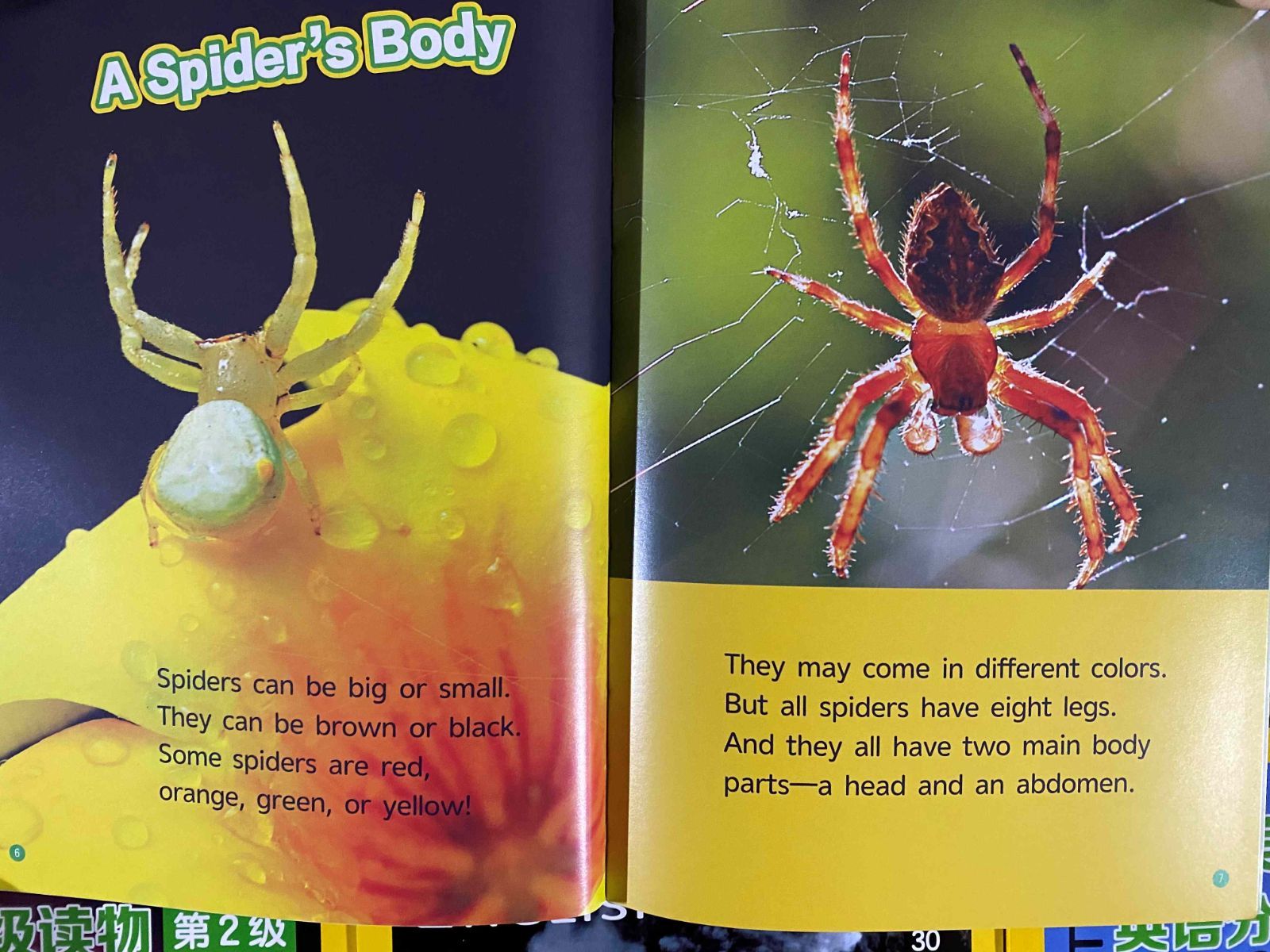 新品】national geographic Kids L1-L4 英語絵本114冊