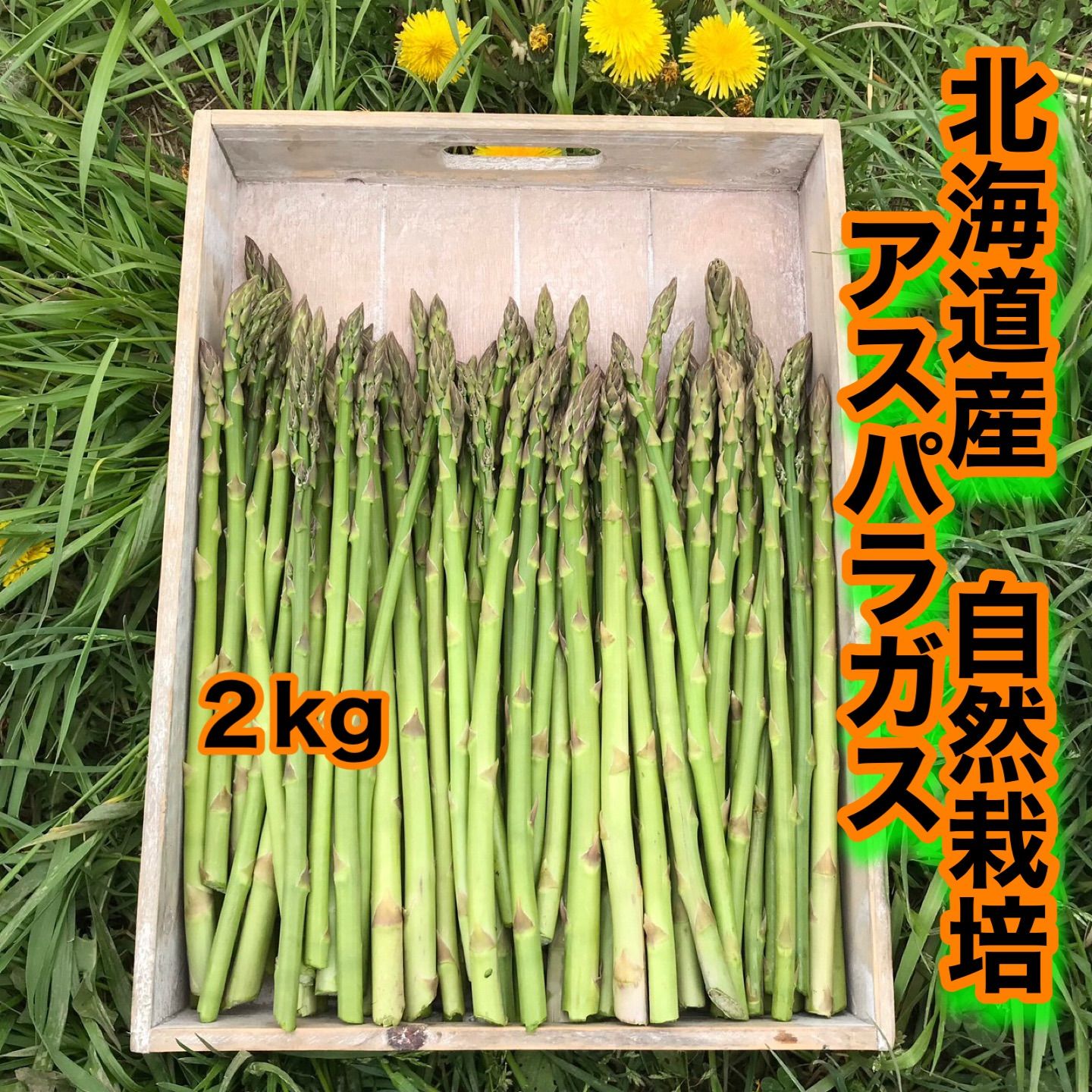 自然栽培アスパラガス（有機JAS認証取得、農薬・肥料・除草剤不使用）２ｋｇ