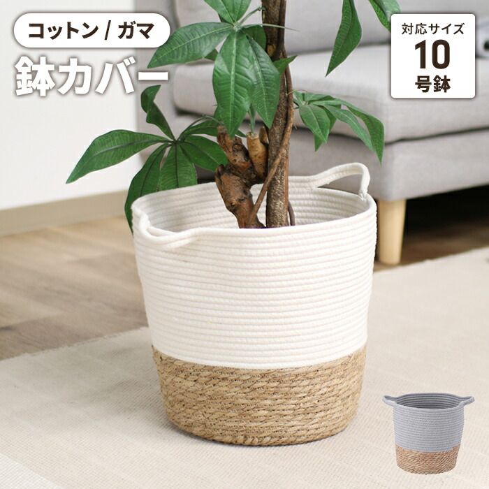 未使用　輪島塗　棗　白漆　崎田 宏　螺鈿（まつむし）　共布　共箱あり 未使用 輪島塗 棗 白漆 崎田 宏 螺鈿（まつむし） 共布共箱