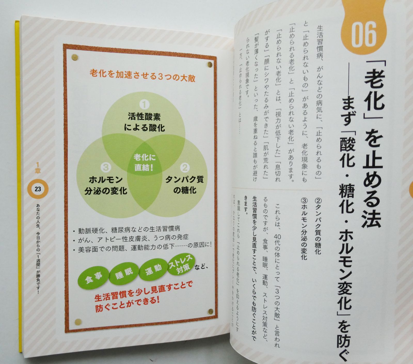 【中古】 ４０代からの「太らない体」のつくり方/三笠書房/満尾正 中古】 40代からの「太らない体」のつくり方/三笠書房/満尾正