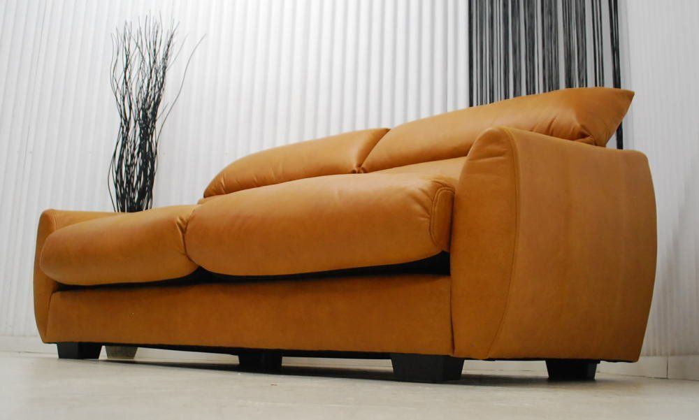 キャメルブラウン