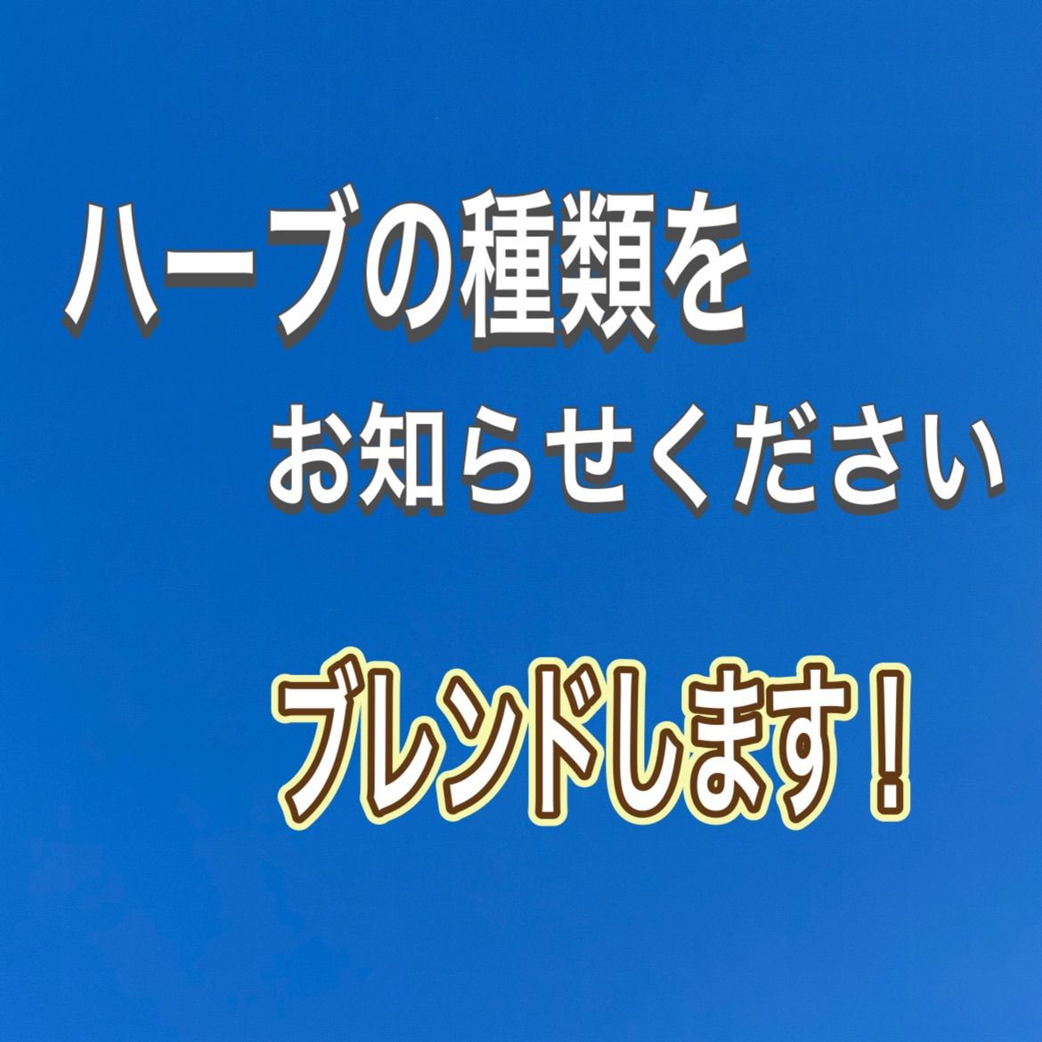 ハーブ ミント 土 New オリジナルハーブ用土 育ちが違う 貝化石 植え付け 植え替え - メルカリ