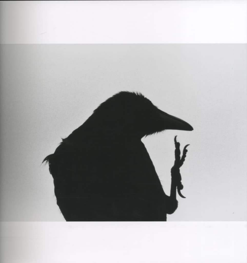 深瀬昌久 鴉 Ravens 【公式通販】