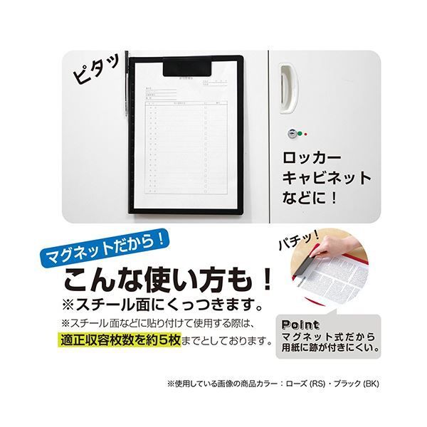 ポーの一族 DVD パンフレット ミュージカル ポーの一族スペシャル