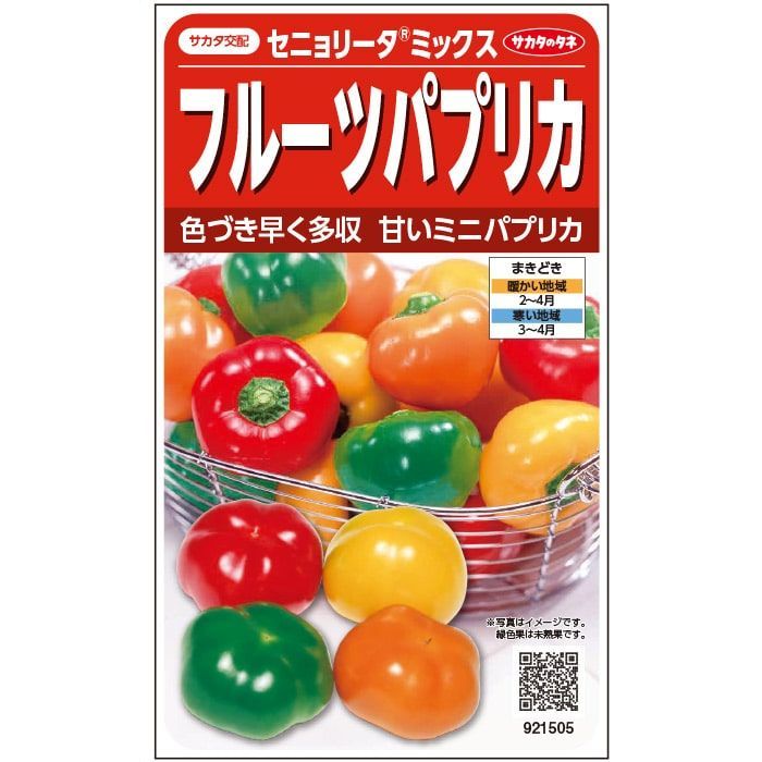  いわみさま Farm Ootomo かぼちゃ苗 ブラックのジョー ミニパプリカ苗 果菜 苗