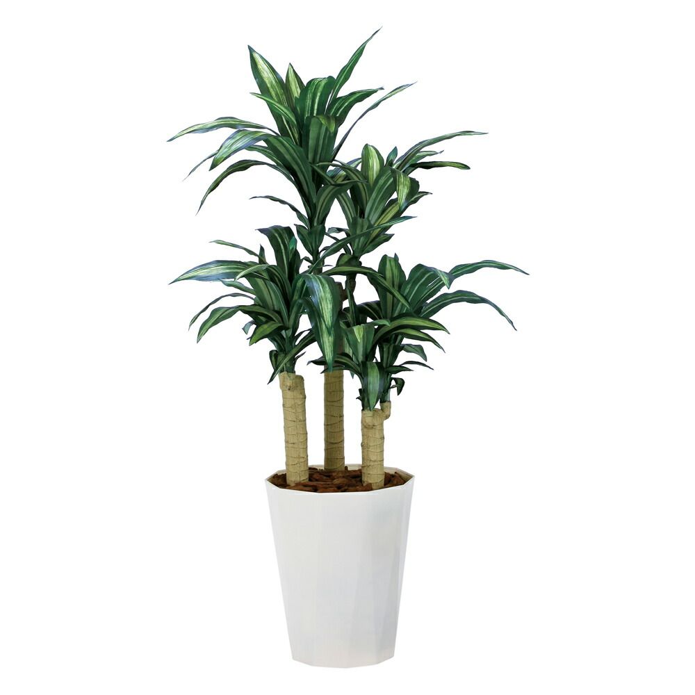 光触媒観葉植物 ソヨゴ1.3 〔フロアタイプ(ハイサイズ)〕 フェイク