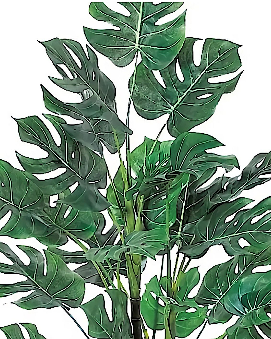 光触媒　人工観葉植物　ウォールグリーン　フェイクグリーン　モンステラ120