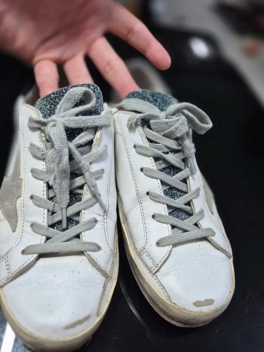 GOLDEN GOOSE