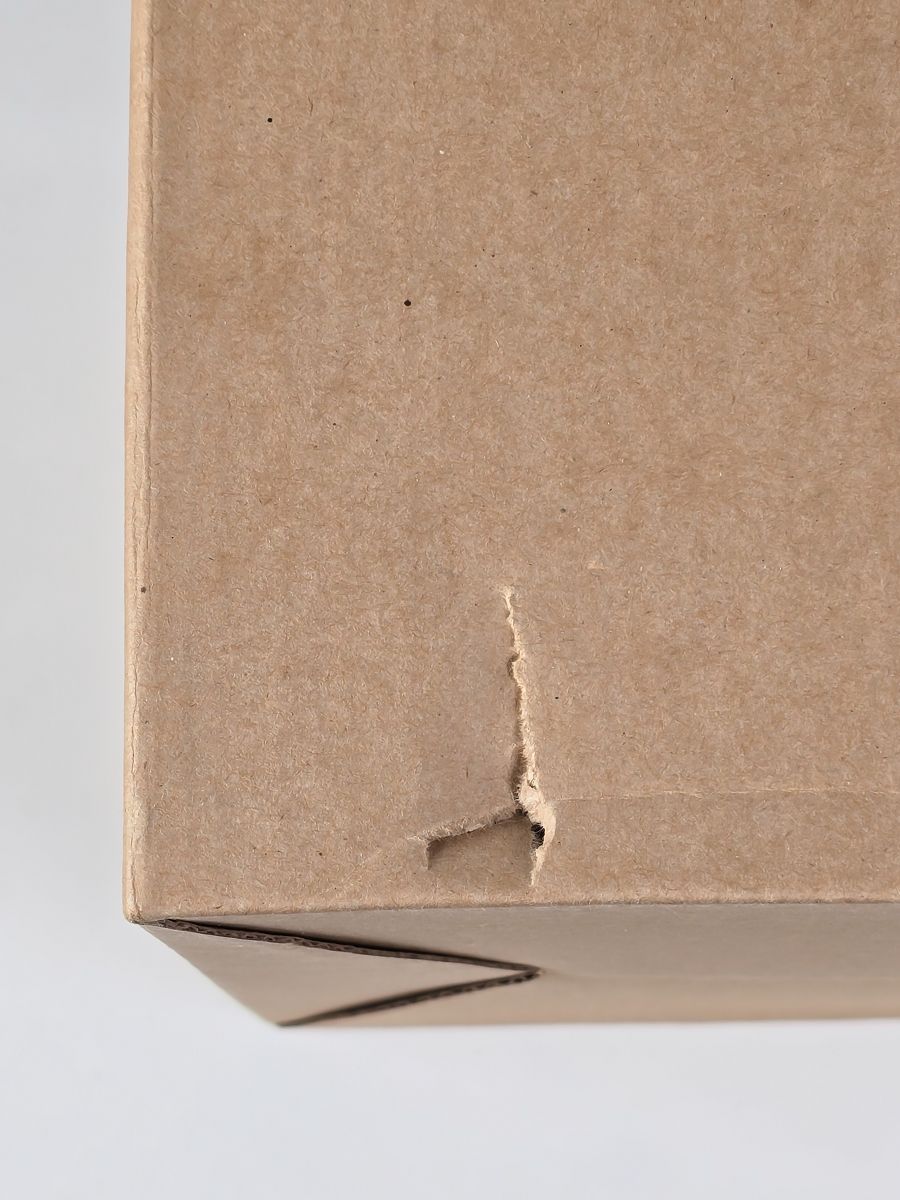 節約 未使用 ベネリック となりのトトロ 陶器プランター トトロぶどう