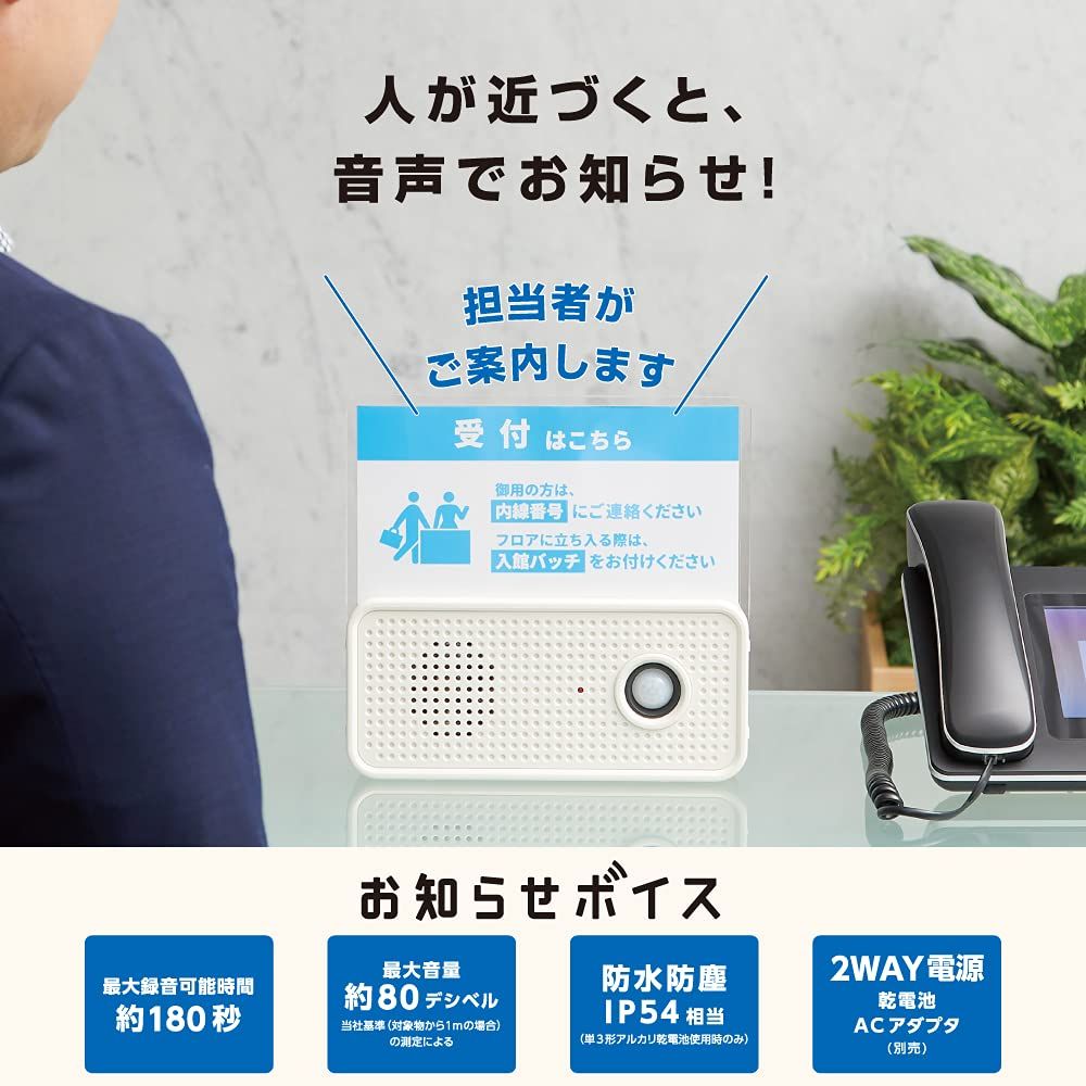 - 本体