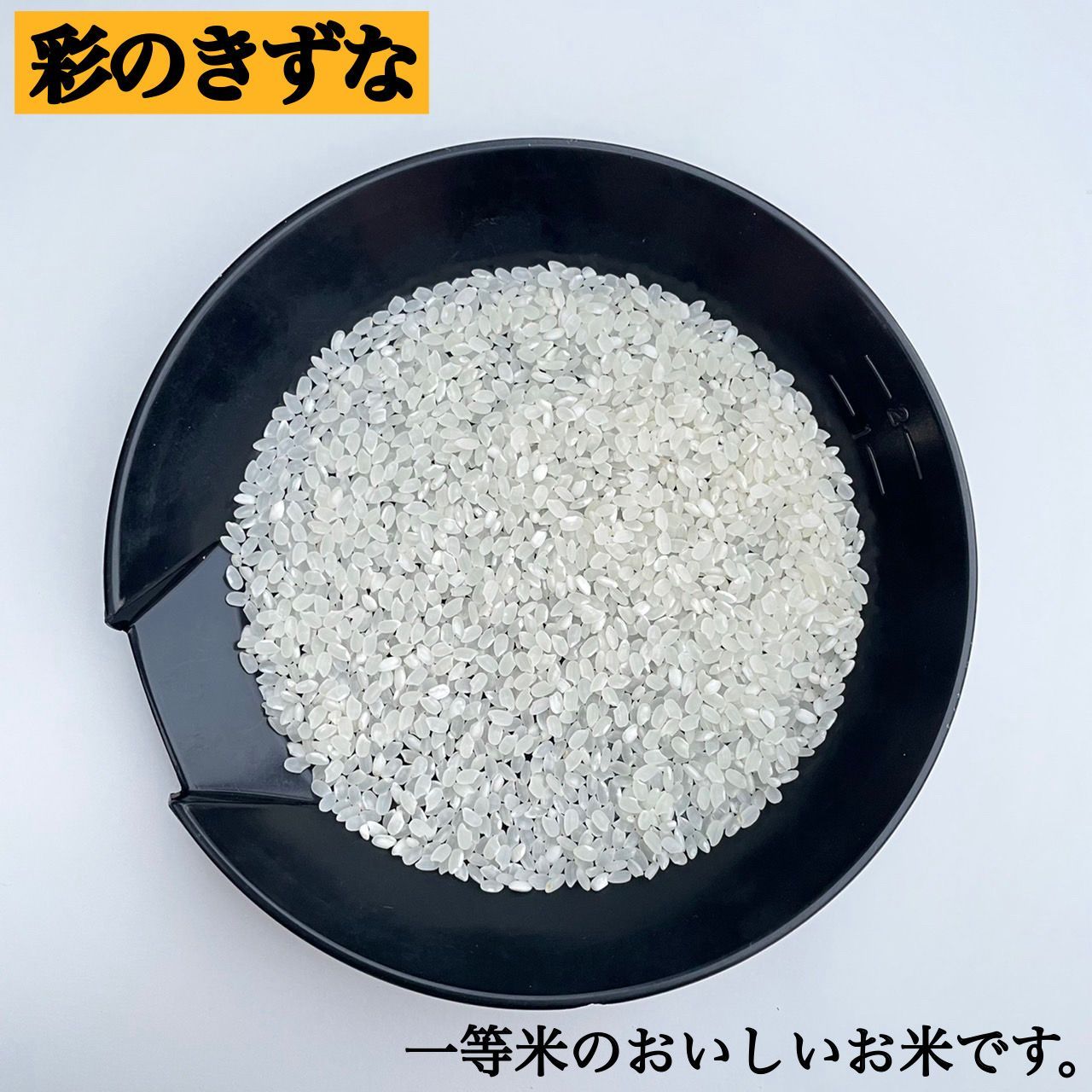 白米 10kg 彩のきずな 新米 埼玉県産 令和5年産 送料無料 米 10キロ