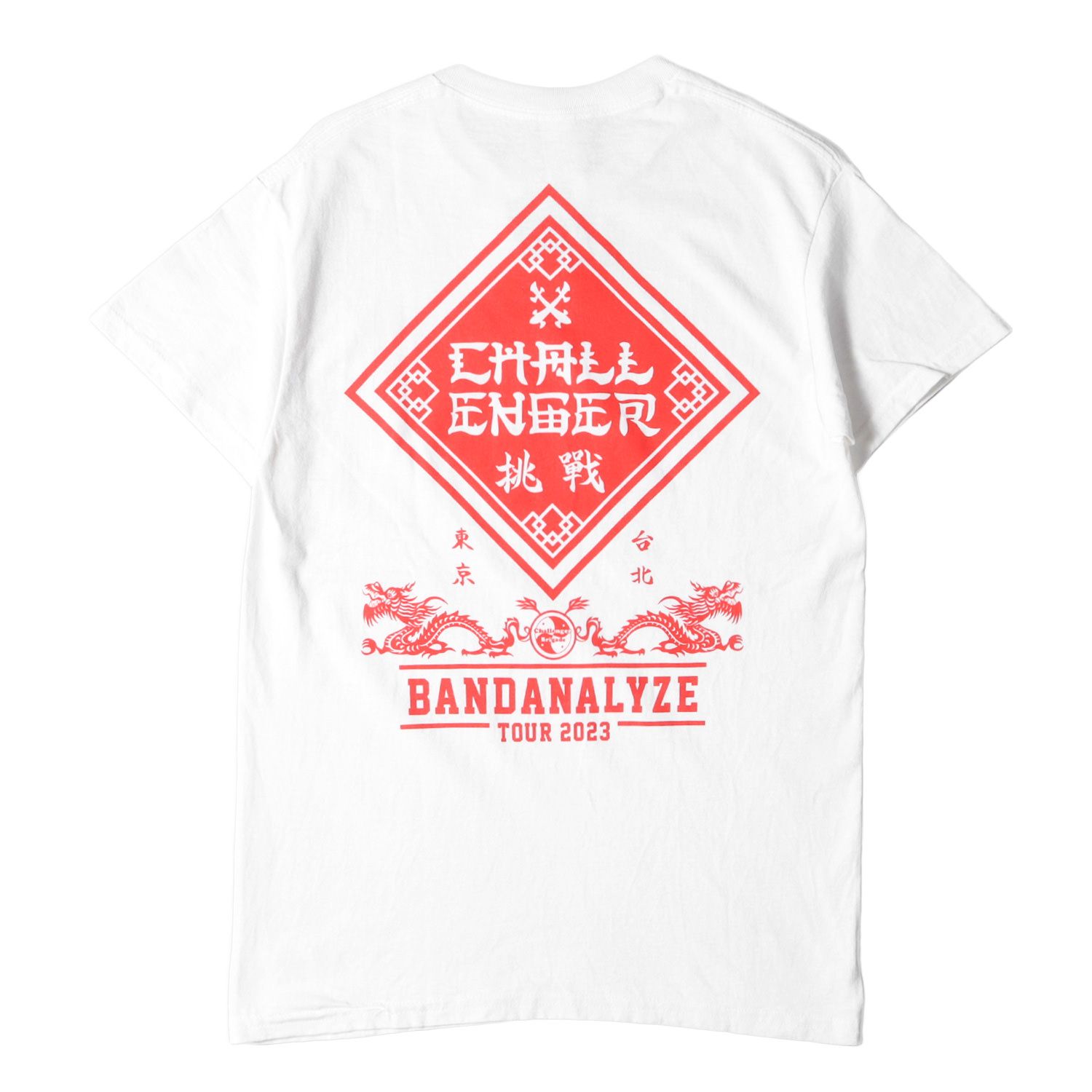 美品 CHALLENGER チャレンジャー Tシャツ サイズ:S 23SS BANDANALYZE 