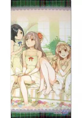 アーシャのアトリエ　アーシャ＆マリオン＆リンカ 特大タペストリー 中古】タペストリー アーシャ＆マリオン＆リンカ 特大タペストリー