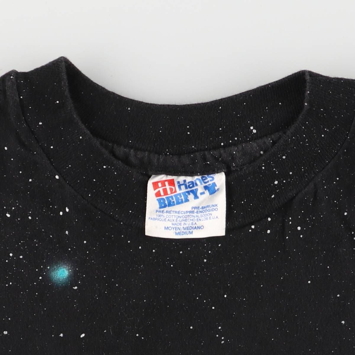 古着 90年代 ヘインズ Hanes BEEFY-T 大判プリント 恐竜柄