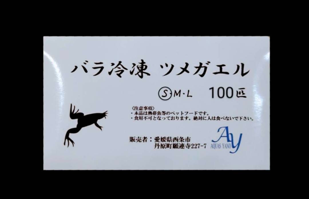 バラ冷凍ツメガエル 100匹