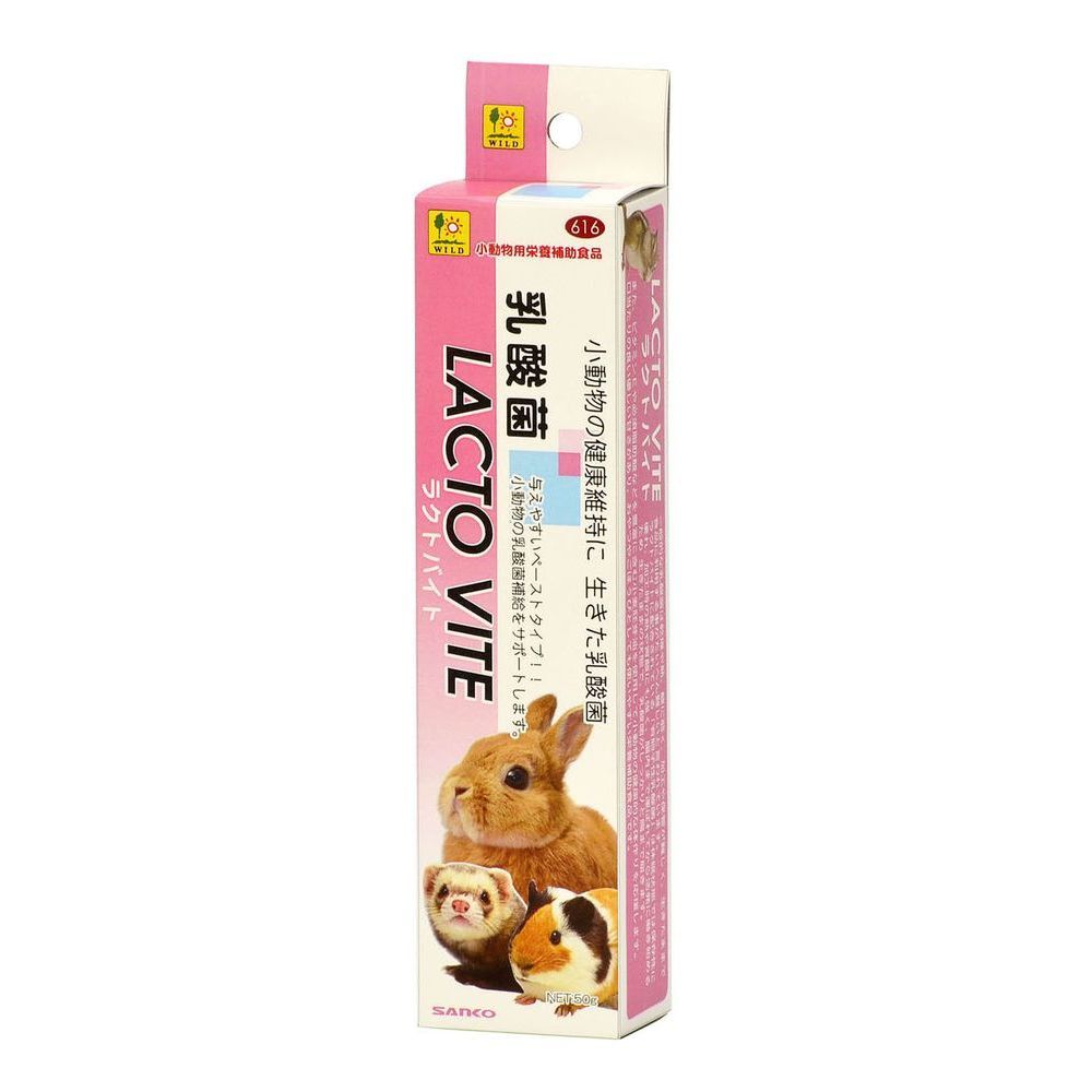 イギリス国立美術館、田中拓馬のニューヨーク HUMAN SUSHI 作品