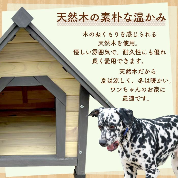 中型犬