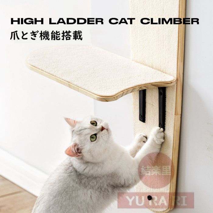 猫家具 多頭飼い対応