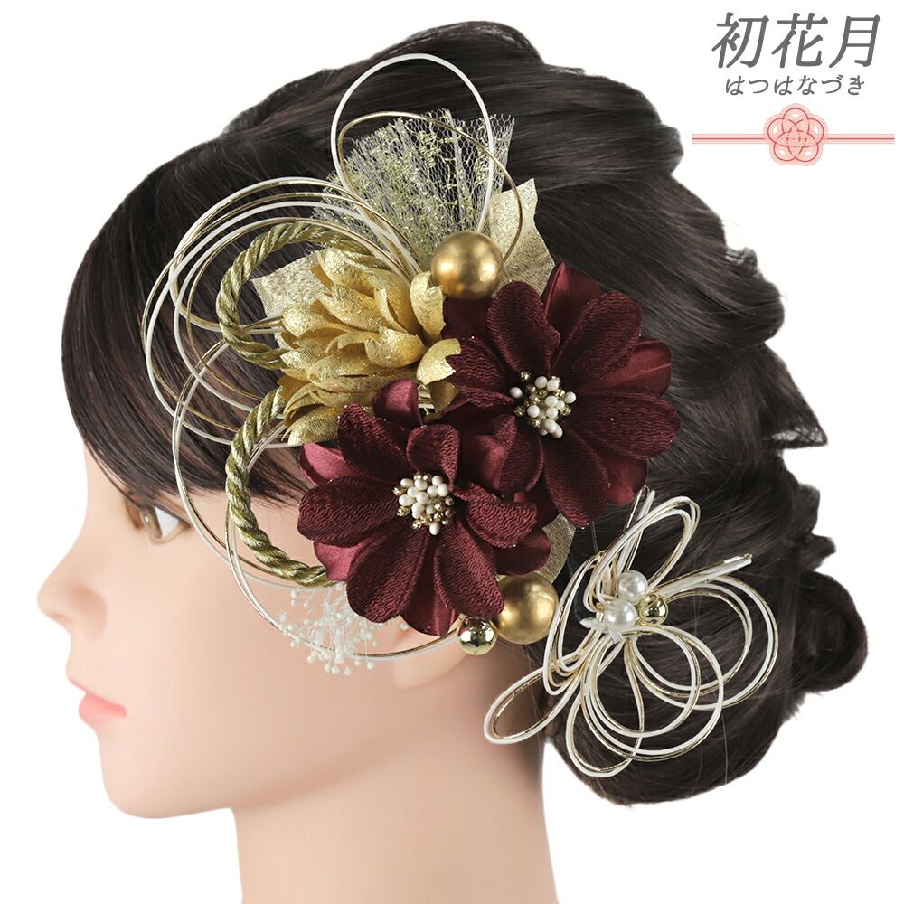 ロフォセレウス 羅漢丸 珍品 ロフォセレウス 羅漢丸 珍品 ロホセレウス