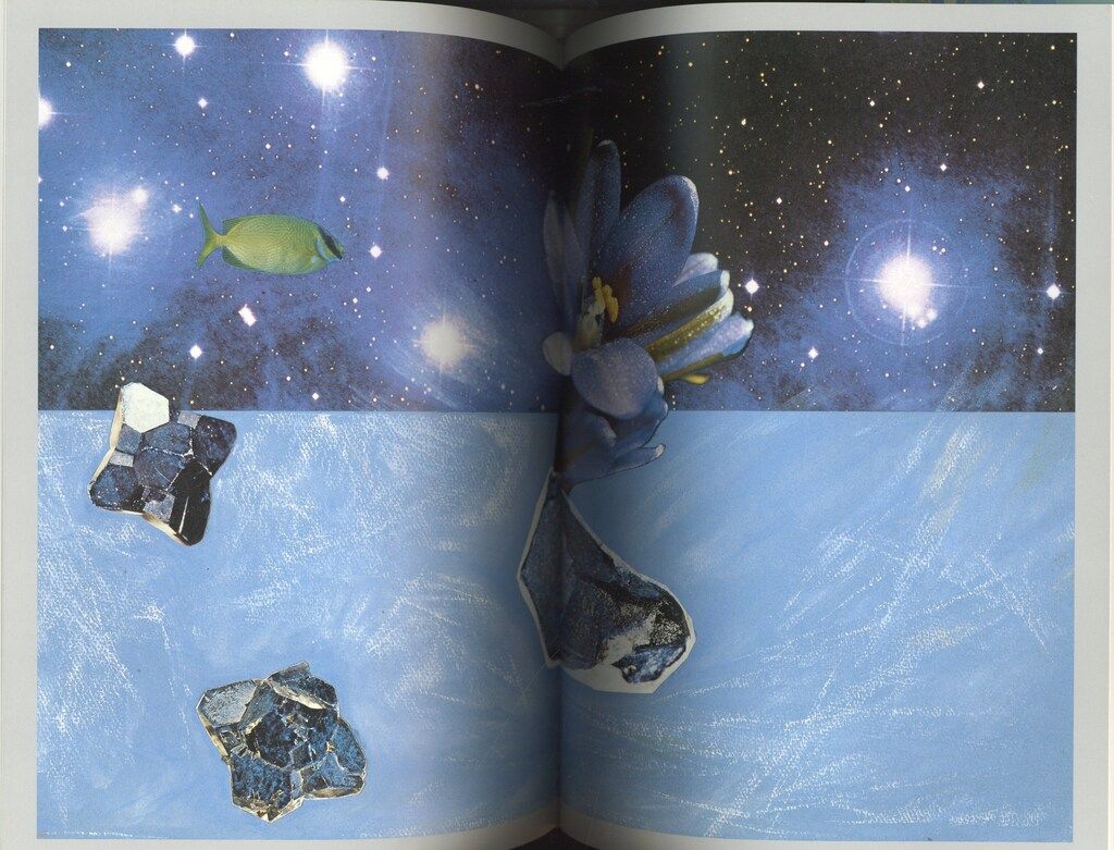 節約 平凡社 野中ユリ 妖精たちの森(新装版) 帯付 妖精たちの森 野中